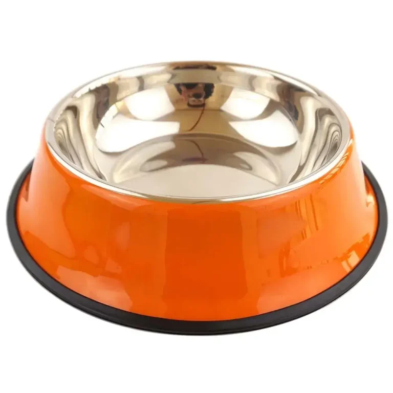 dog bowl