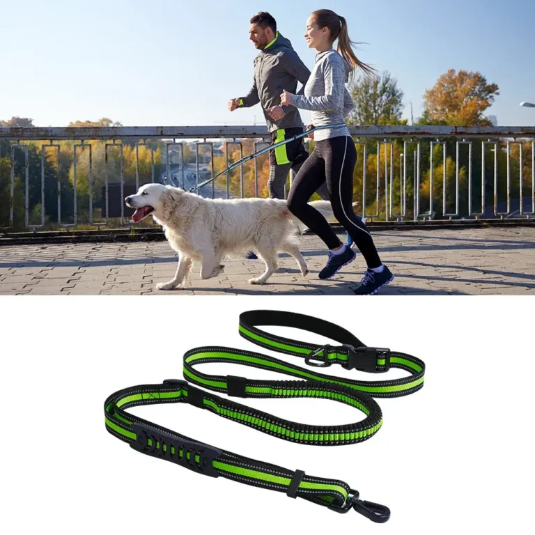 dog lead